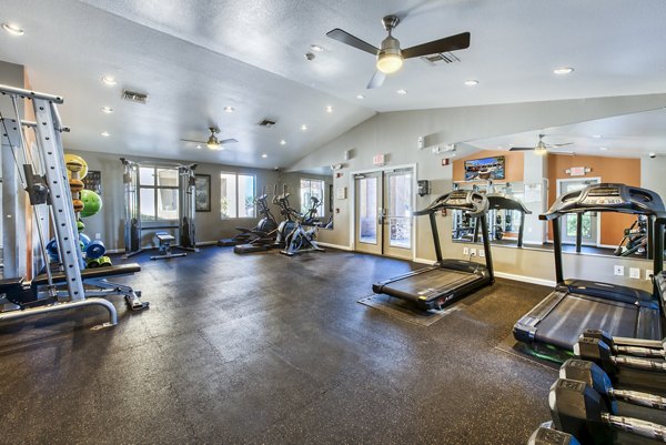 State-of-the-art fitness center equipped with modern gym equipment at Allure at Tempe Apartments, ideal for active living