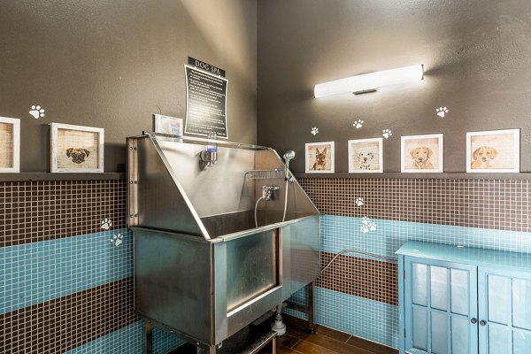 Dog wash station with convenient amenities at Ladera Apartments