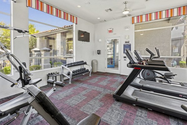 fitness center at Vista Grove Apartments