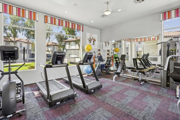 Fitness room with modern equipment at Vista Grove Apartments, a Greystar luxury community