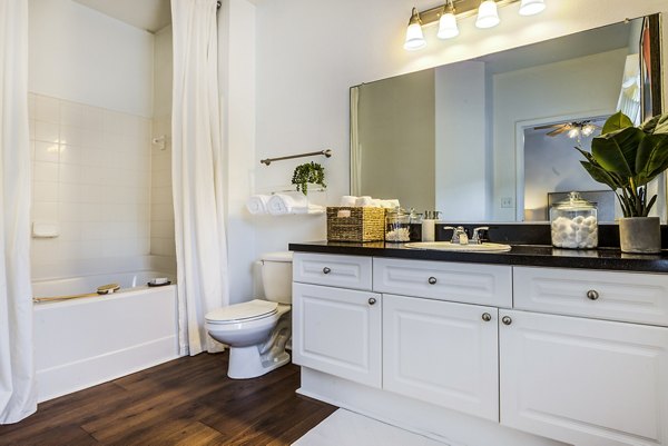 Luxurious bathroom with marble countertops at The Vinoy at Innovation Park Apartments, showcasing premium amenities and elegant design