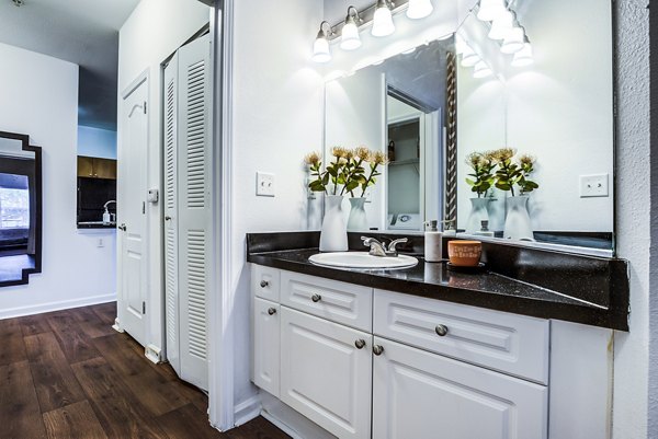 bathroom at The Vinoy at Innovation Park Apartments