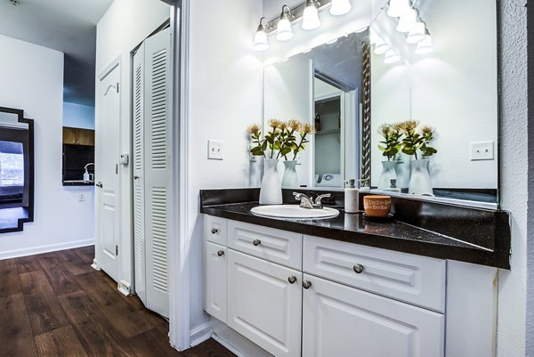 bathroom at The Vinoy at Innovation Park Apartments