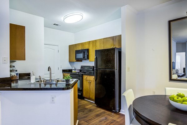 Modern kitchen with stainless steel appliances at The Vinoy at Innovation Park Apartments