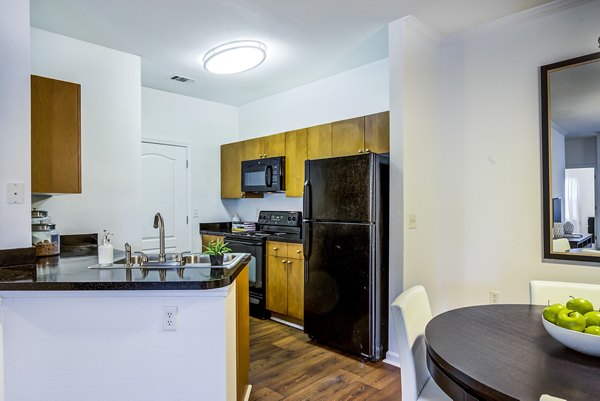 kitchen at The Vinoy at Innovation Park Apartments