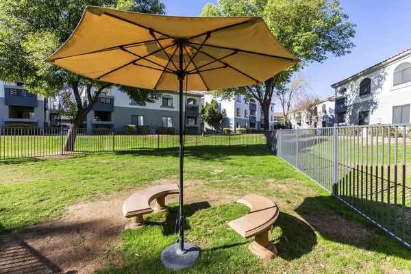 Fenced dog park with agility equipment at Avana Desert View Apartments