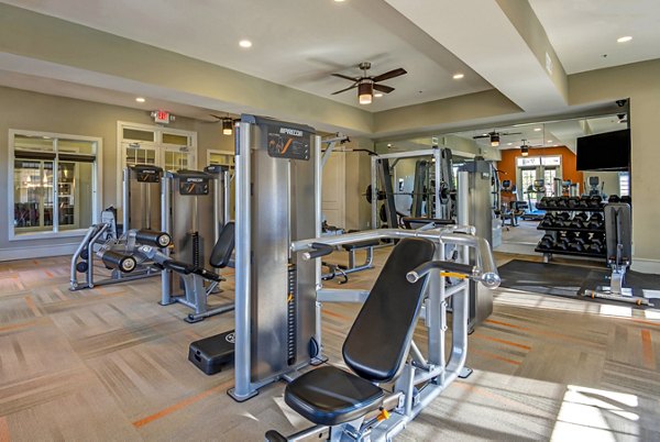 State-of-the-art fitness center with modern equipment at Whitehall Parc Apartment Homes, offering residents a complete workout experience