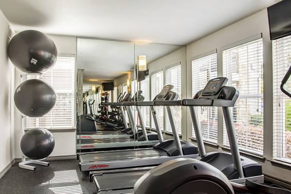 fitness center at Reserve at Garden Oaks Apartments
