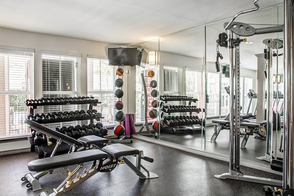 State-of-the-art fitness center at Reserve at Garden Oaks Apartments