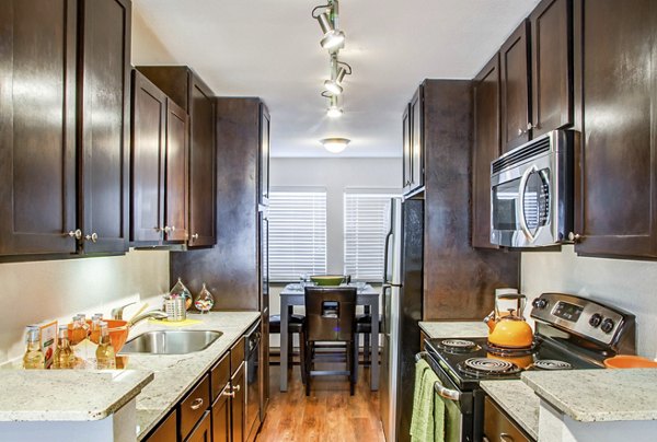 Modern kitchen with stainless steel appliances at Reserve at Garden Oaks apartments