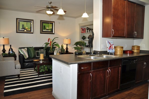 Modern kitchen featuring sleek countertops and stainless steel appliances in Avanti Cityside Apartments