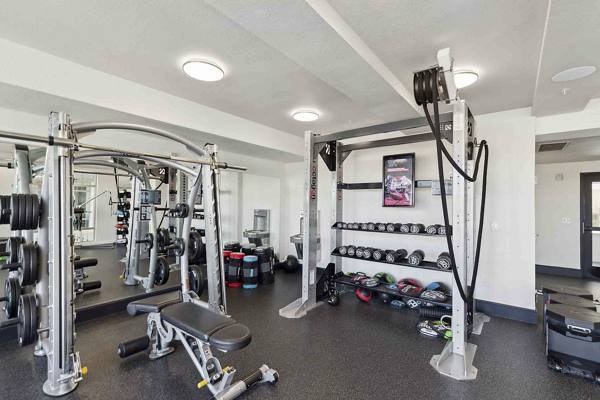 fitness center at Portola at Southglenn Apartments