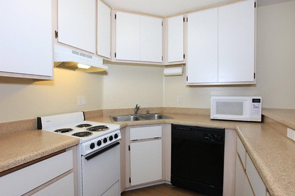 Modern kitchen with sleek countertops and stainless steel appliances at City View Apartments, offering luxury living in a vibrant urban setting