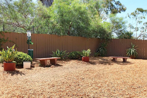 Dog-friendly park with agility equipment at City View Apartments