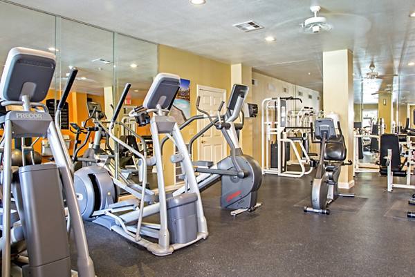 fitness center at Plaza at Westchase Apartments