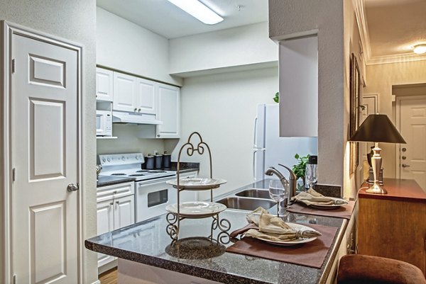 Modern kitchen with stainless steel appliances and granite countertops at Plaza at Westchase Apartments in a luxury Greystar community