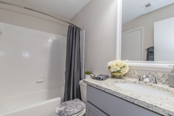 bathroom at Windsor at Fairlakes Apartments