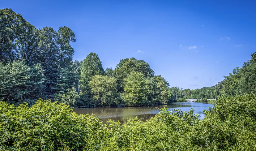 Windsor at Fairlakes: Scenic view of luxury apartments nestled in a lush landscape