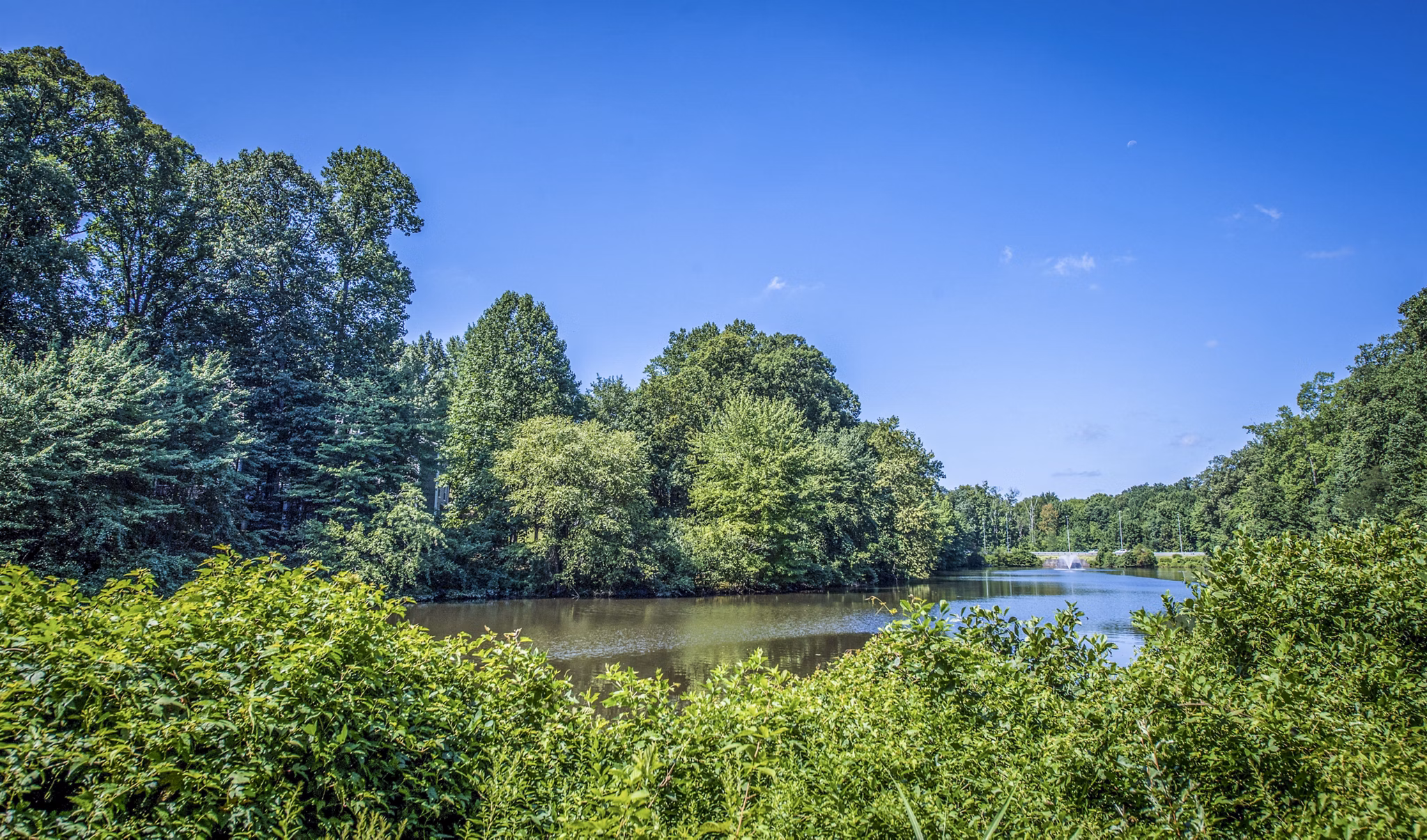 Windsor at Fairlakes: Scenic view of luxury apartments nestled in a lush landscape