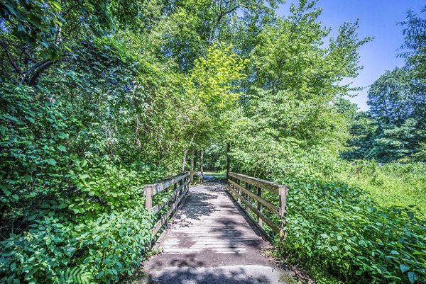 Windsor at Fairlakes Apartments: Serene walking trail view surrounded by lush greenery