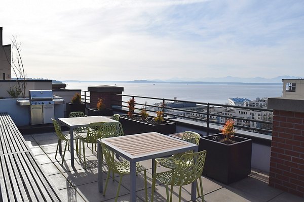 rooftop deck at The Goodwin Apartments