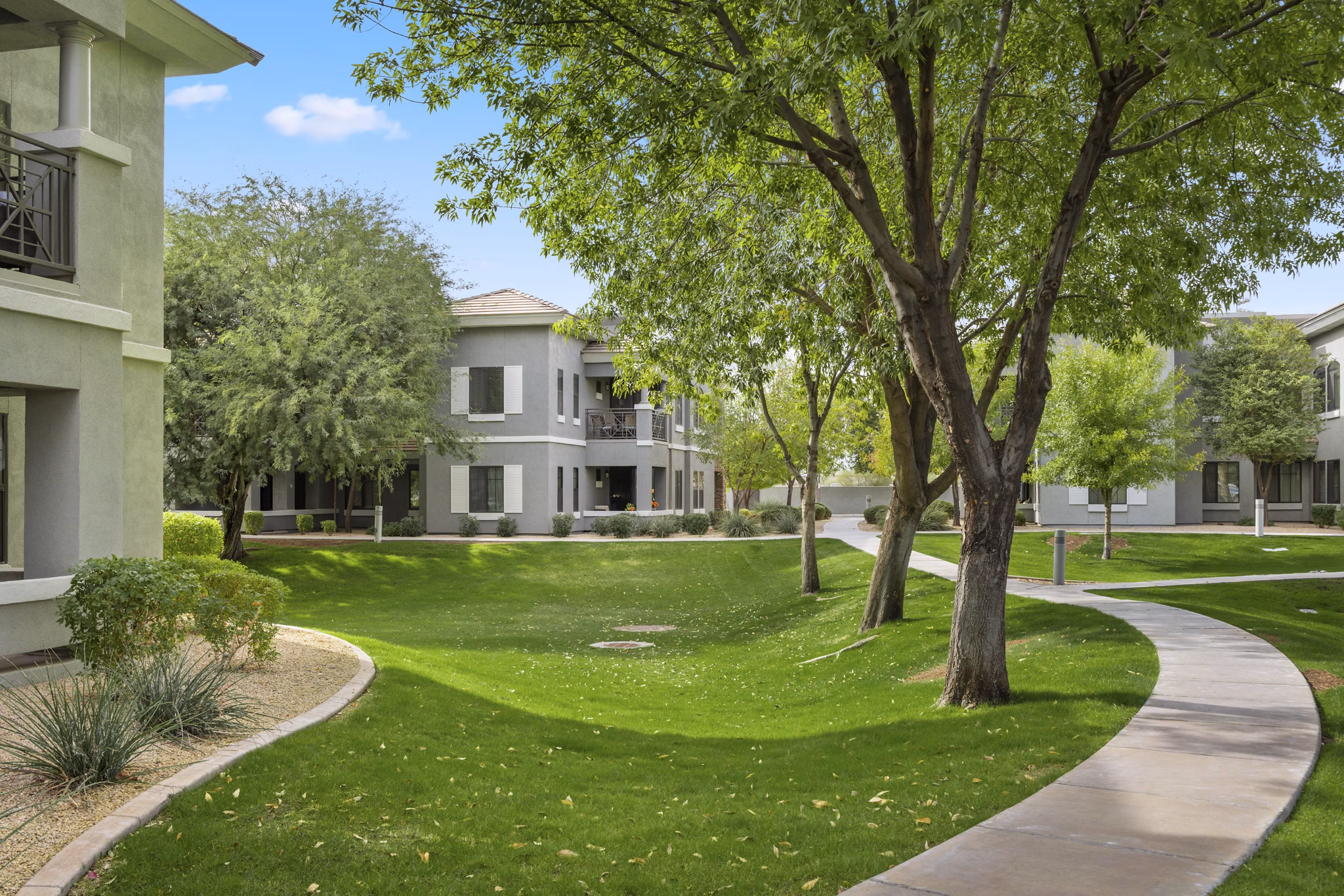 Indigo Apartments: Lush courtyard with garden pathways for luxury living
