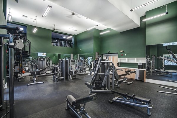 Modern fitness center with state-of-the-art equipment at Solmar on 6th luxury apartments
