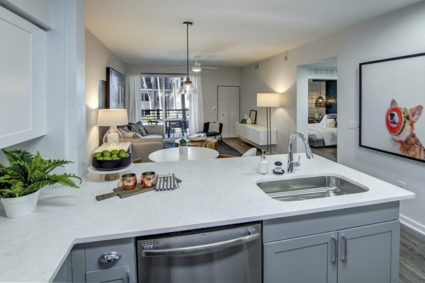 Modern kitchen with sleek appliances and granite countertops at Solmar on 6th luxury apartments