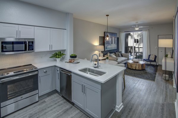 Sleek kitchen with stainless steel appliances at Solmar on 6th luxury apartments
