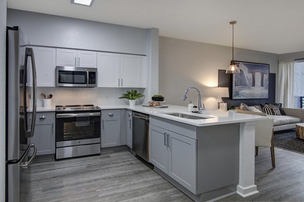 Modern kitchen featuring stainless steel appliances at Solmar on 6th luxury apartments