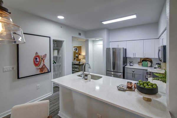 Modern kitchen with stainless steel appliances at Solmar on 6th luxury apartments
