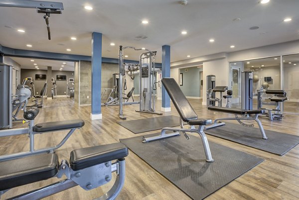 State-of-the-art fitness center equipment at Park Kiely Apartments luxury community