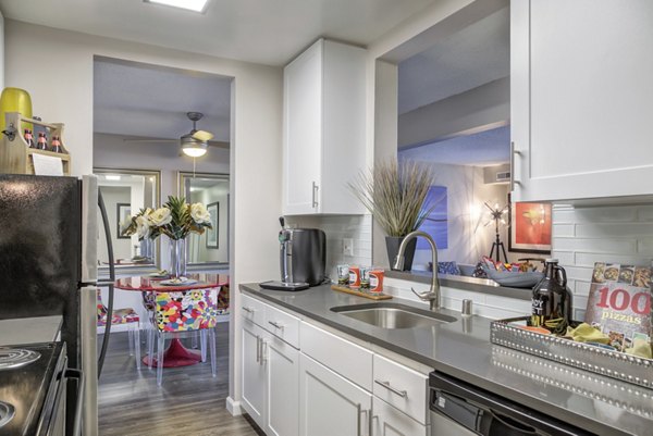 Modern kitchen with stainless steel appliances in Park Kiely Apartments, luxury living in Santa Clara