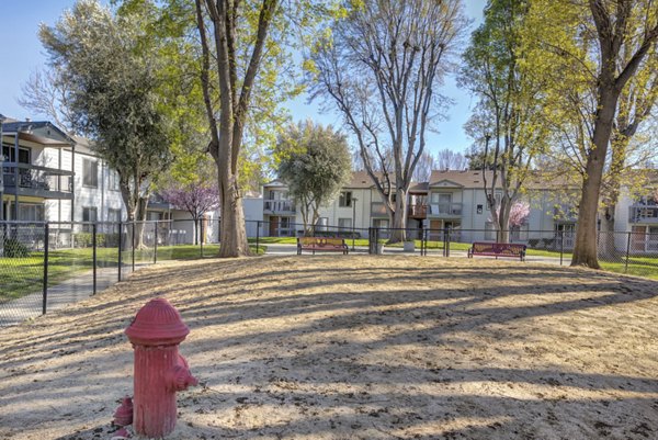 Spacious dog park with agility equipment at Park Kiely Apartments