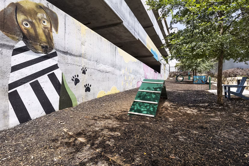 Dog park with agility equipment at Burnet Flats Luxury Apartments