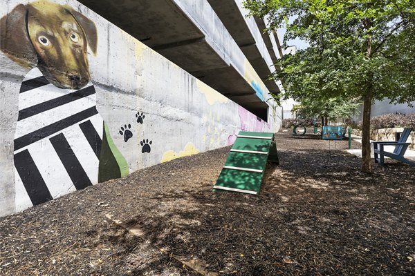 Dog park with agility equipment at Burnet Flats Luxury Apartments