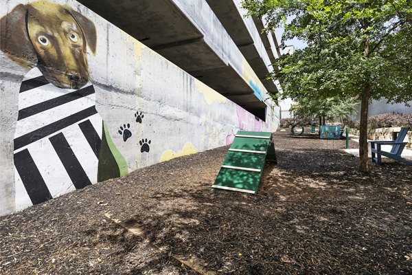 dog park at Burnet Flats Luxury Apartments