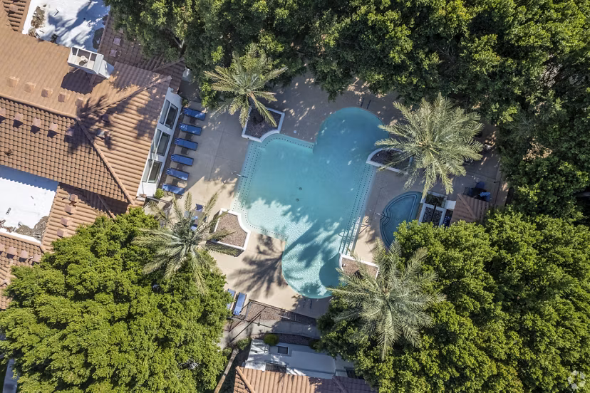 pool at Haven at Towne Center Apartments
