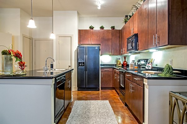 Sleek kitchen with stainless steel appliances and granite countertops in Sawyer Heights Lofts Luxury Apartments