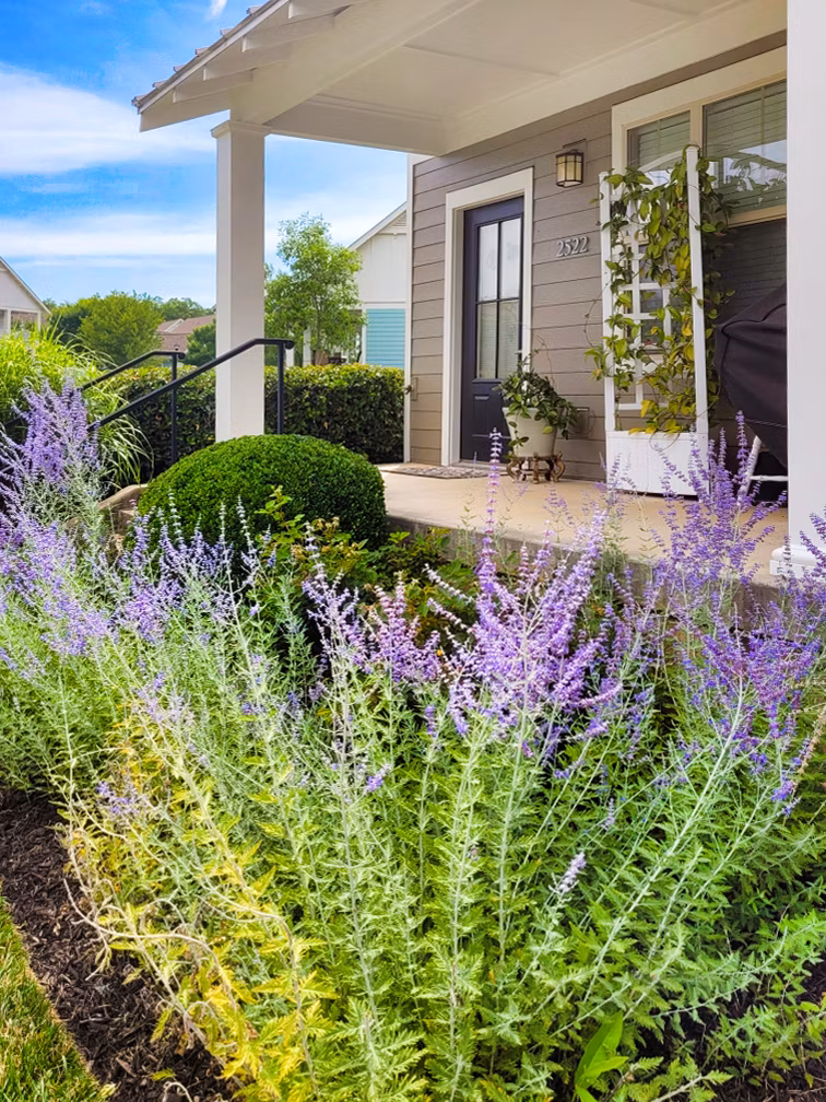 Homestead at Hartness: Elegant of luxury apartments in serene neighborhood