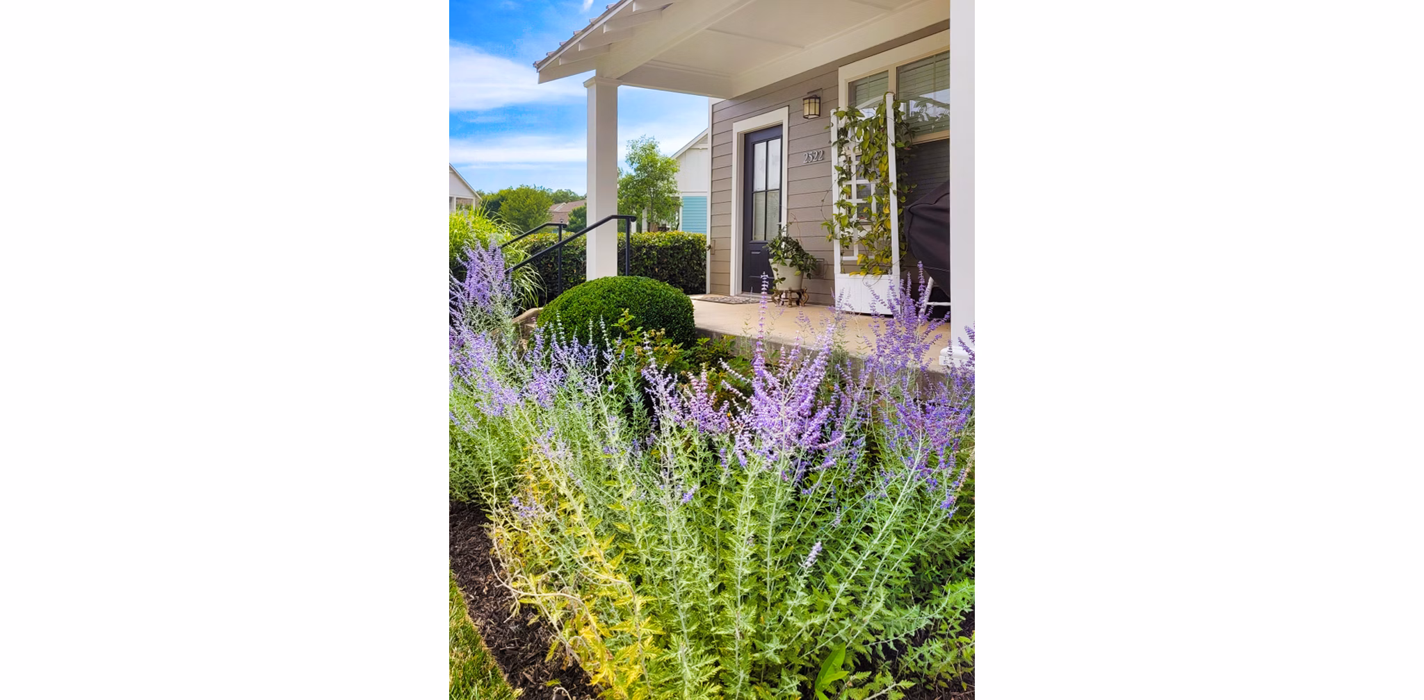 Homestead at Hartness: Elegant of luxury apartments in serene neighborhood