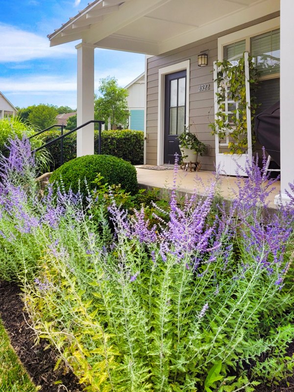 Homestead at Hartness: Elegant of luxury apartments in serene neighborhood