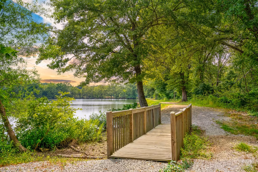 Homestead at Hartness: Tranquil courtyard area with lush greenery in luxury apartments