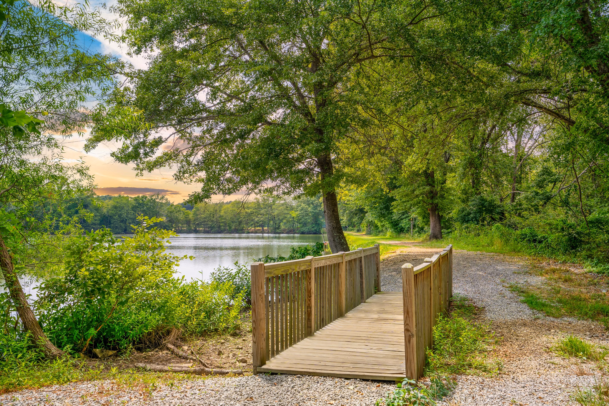 Homestead at Hartness: Tranquil courtyard area with lush greenery in luxury apartments