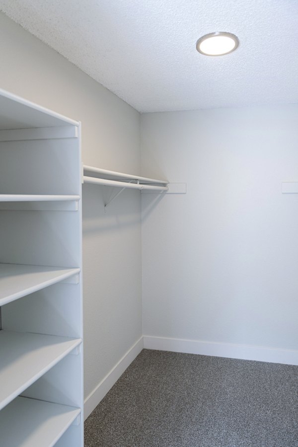 Spacious bedroom closet with ample storage space in Terra Vista at the Park Apartments