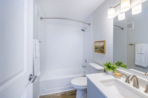 Spacious bathroom with modern fixtures at Terra Vista at the Park Apartments with luxury features
