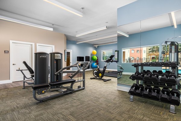 Modern fitness center with state-of-the-art equipment at Terra Vista at the Park Apartments