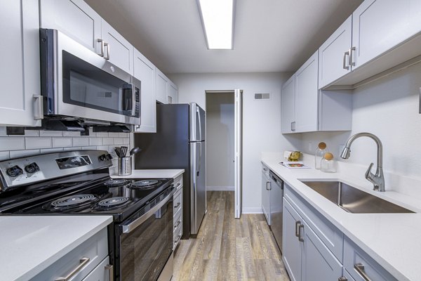 Modern kitchen with sleek countertops and stainless steel appliances at Terra Vista at the Park Apartments