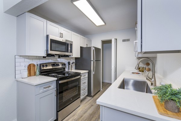 Modern kitchen with stainless steel appliances and granite countertops in Terra Vista at the Park Apartments