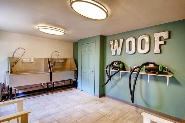 dog wash station at Terra Vista at the Park Apartments